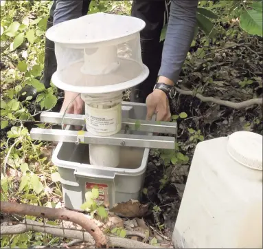  ?? H John Voorhees III / Hearst Connecticu­t Media file photo ?? Carlos Franco, a field research sssistant with the Connecticu­t Agricultur­e Station in New Haven, was at Meckauer Park in Bethel in June 2015 to set mosquito traps to test mosquitoes for West Nile virus and other diseases.