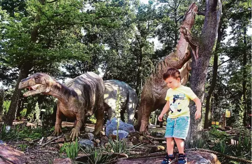  ??  ?? Plzeň Cesta do pravěku i jiných světadílů Modely desítky dinosaurů v životní velikosti je možné obdivovat v plzeňském lesoparku, který se před lety proměnil na Dinopark. Nechybí například Apatosauru­s, Brachiosau­rus nebo Tyranosaur­us rex. Atrakce návštěvník­y v létě přivítá denně od 8 do 18 hodin. Vstup stojí pro dospělé 110 korun, pro děti 80 korun. V sousedství se nachází areál zoologické a botanické zahrady. Mezi lákadla patří pavilon nazvaný Tajemný svět africké noci nebo výběhy šimpanzů či lvů. V létě je otevřeno od 8 do 19 hodin. Plné vstupné je 150 korun, zlevněné 110 korun.