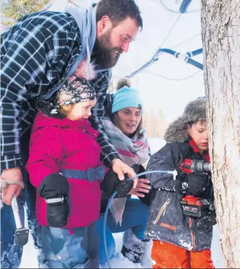  ??  ?? Toute la famille découvre un nouveau monde : celui de la forêt et de la production acéricole.