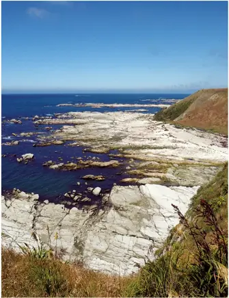  ??  ?? Above left: Breath taking landscape. Below left: Young red-billed gull being fed by its parent.Below right: New Zealand fur seal.