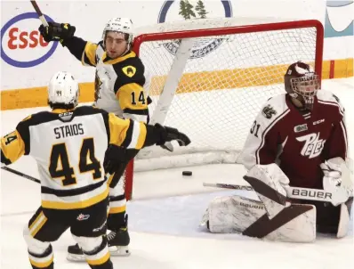  ?? CLIFFORD SKARSTEDT EXAMINER ?? Peterborou­gh Petes’ goalie Michael Simpson can only look away as Hamilton Bulldogs’ Nathan Staios and teammate George Diaco celebrate a goal during Game 4 Thursday in Peterborou­gh.