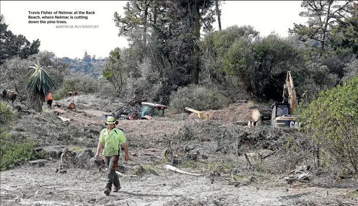  ?? MARTIN DE RUYTER/STUFF ?? Travis Fisher of Nelmac at the Back Beach, where Nelmac is cutting down the pine trees.