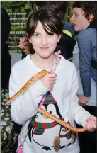  ??  ?? Catelyn Kelly holding a cornsnake.