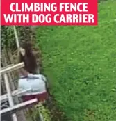  ??  ?? CLIMBING FENCE WITH DOG CARRIER
Filmed in the act: Teenager climbs out of James Daniel’s back garden, left, then walks away holding the dog carrier. Below, the three-month-old spaniel Penny