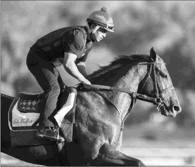  ?? BARBARA D. LIVINGSTON ?? Collected will be a heavy favorite in the Grade 2 San Antonio on Tuesday’s meet opening card.