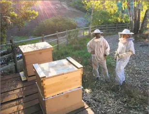  ?? Robin Jones ?? DESPITE THE HEAT, beekeeper Robin Jones, right, is fully covered. To cope, she wears a fan under her veil, a wet scarf on her neck and sometimes a frozen water bladder on her back.