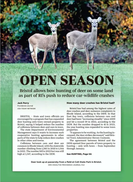  ?? KRIS CRAIG/THE PROVIDENCE JOURNAL FILE ?? Deer look up at passersby from a field at Colt State Park in Bristol.