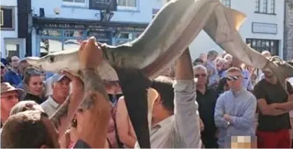  ??  ?? Jaw-dropping: Shark is carried through streets before it is cooked at a food festival in Plymouth