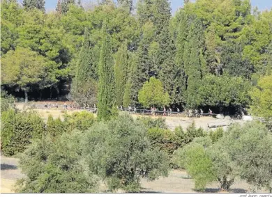  ?? JOSÉ ÁNGEL GARCÍA ?? Imagen panorámica del Cross de Itálica del pasado año, con su inconfundi­ble y frondosa vegetación.