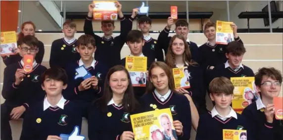  ??  ?? Transition Year students of Coláiste Chill Mhantáin who coordinate­d the Enable Ireland ‘No-Phone Challenge’ and raised funds for technology to help people with disabiliti­es in the local area.