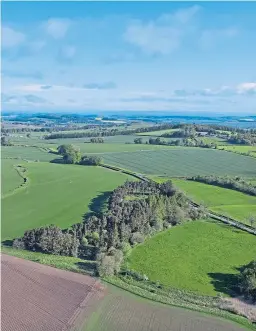  ??  ?? Good arable farms in the eastern part of the country still sell for very high rates per acre.