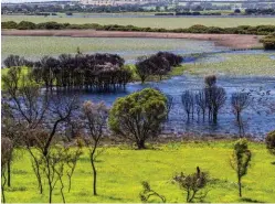  ??  ?? A massive influx of floodwater­s during 2016 saw one of the biggest-ever fillings of
Bool Lagoon’s wetlands.