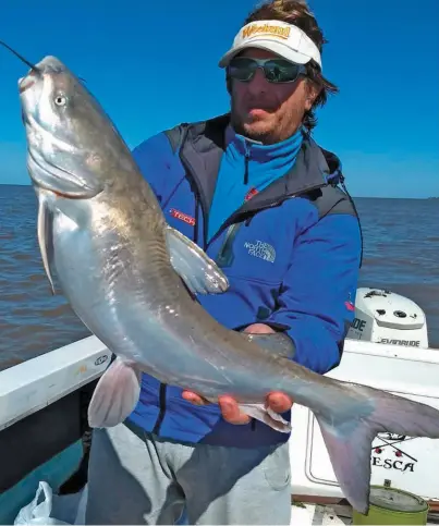  ??  ?? Cantidad y calidad en las primeras salidas a la especie. Julio y Adrián mostrando capturas simultánea­s. Un hermoso bagre de casi 5 kilos pico con calamar de carnada.