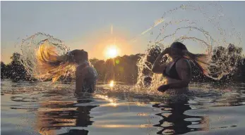  ?? FOTO: THOMAS LEANYVARI ?? Wasserratt­en beim Spiel mit dem Sonnenlich­t.