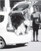  ??  ?? A pirate taxi loads passengers into the boot of a Honda Fit while blocking traffic along 8th Avenue in Bulawayo in this file photo.