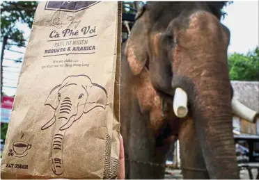  ?? — AFP ?? Robust sales: A pack of coffee produced by a family locally known as ‘the king of elephants’ being sold at a tourist resort in Lien Son town, Dak Lak province. Vietnam’s exports of all varieties of coffee are likely to top 1.8 million tonnes this year.