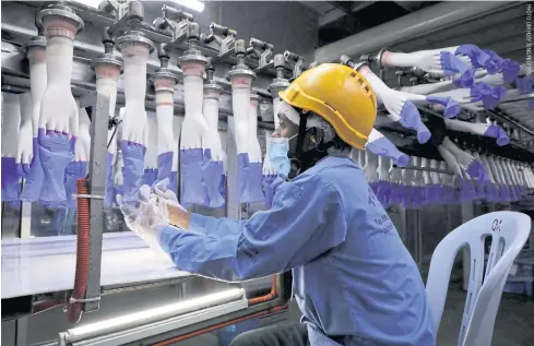  ?? ?? A worker inspects medical gloves at a Top Glove factory in Shah Alam, Malaysia. The US barred imports from the company’s Malaysian operations for several months in 2020 because of concerns about forced labour.