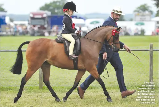  ??  ?? Five-yearold Beatrice Taverner-Jordan and Small-Land Toy Story claim their HOYS leadrein qualifier andthe mini title