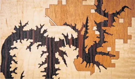  ?? Photos by Russell Yip / The Chronicle ?? Gabe Smedresman, below, of Woodcut Maps, makes maps that function as decor such as this detail, above, of a lake in Missouri.