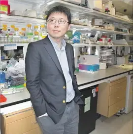  ?? Bryce Vickmark Massachuse­tts Institute of Technology ?? MOLECULAR BIOLOGIST Feng Zhang’s new RNA gene-editing tool is seen as a clever approach that could help treat cancer and autoimmune disorders.
