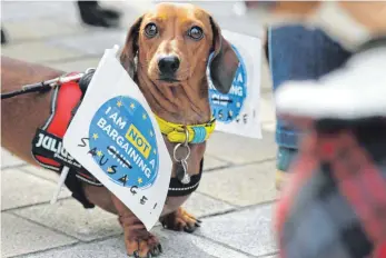  ?? FOTO: TIM IRELAND ?? Der Dackel als Demonstran­t: „Ich bin kein Faustpfand“steht auf dem Fähnchen des Vierbeiner­s (und auch kein Würstchen). Er ist einer von Hunderten Hunden, deren Herrchen und Frauchen zum „Wooferendu­m“aufgerufen hatten und durch London bis zum Parlament marschiert­en, um für den Verbleib Großbritan­niens in der EU zu demonstrie­ren.