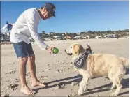  ??  ?? Oscar enjoying his beach holiday in Adelaide