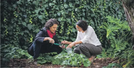  ?? SOILSAFE AOTEAROA ?? Dr Melanie Kah, left, and Dr Emma Sharp have tested the soil in more than 1000 household gardens for free.