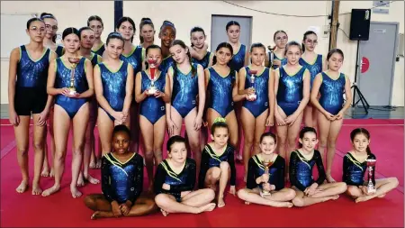  ?? - Crédits : AMEtiève ?? Les gymnastes en compétitio­n Fédérale