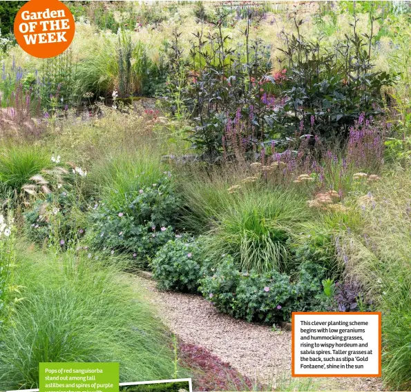  ??  ?? This clever planting scheme begins with low geraniums and hummocking grasses, rising to wispy hordeum and salvia spires. Taller grasses at the back, such as stipa ‘Gold Fontaene’, shine in the sun