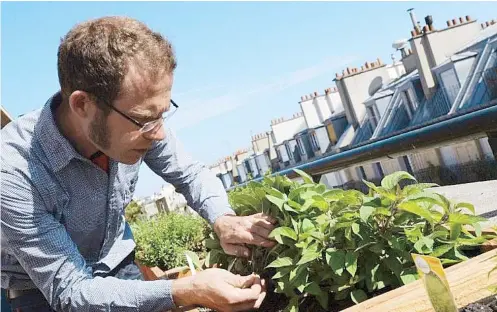  ??  ?? El joven ingeniero con espíritu ecológico, Nicolas Bel (al lado), creó el huerto del Pullmann-Tour Eiffel en París.