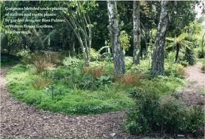  ??  ?? Gorgeous blended underplant­ing of natives and exotic plants by garden designer Ross Palmer, at Welton House Gardens, Marlboroug­h.