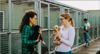  ?? FILE PHOTO ?? STRAY HEARTS ANIMAL SHELTER seeks volunteers at 1200 St. Francis Lane, Taos. Call 575-758-2981.