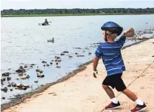  ?? YALONDA COMMERCIAL ?? A kayaker paddles in Hyde Lake as Noah Allen, 6, throws a rock during a visit to Shelby Farms Park, which reopened following a $52 million improvemen­t project. M. JAMES/THE