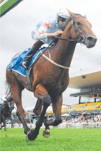  ?? Picture: AAP IMAGE ?? Farnan has all the traits of her best Golden Slipper winners, says Gai Waterhouse.