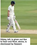  ??  ?? SHAH CLASS
Sibley, left, is given out lbw to Yasir and Root, above, is dismissed by Naseem