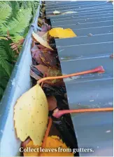  ??  ?? Collect leaves from gutters.