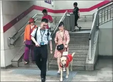 ?? CHEN ZEBING / CHINA DAILY ?? A guide dog leads a visually impaired woman in the Beijing subway.