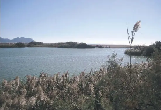  ??  ?? Kurz vor dem Ziel findet man die an der Mündung der Rambla Morales gelegene Albufera deltáica del Charco vor.