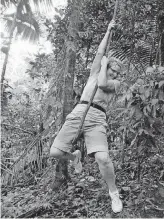  ?? [PHOTO PROVIDED] ?? LEFT: Beth Stephenson tries out a Tarzan vine.