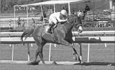  ?? SHIGEKI KIKKAWA ?? Justify, a leading Kentucky Derby prospect, enters the Santa Anita Derby perfect in two starts.