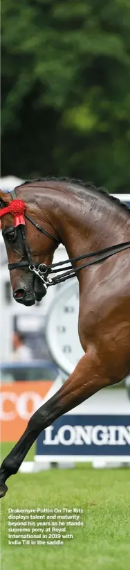  ??  ?? Drakemyre Puttin On The Ritz displays talent and maturity beyond his years as he stands supreme pony at Royal Internatio­nal in 2019 with India Till in the saddle