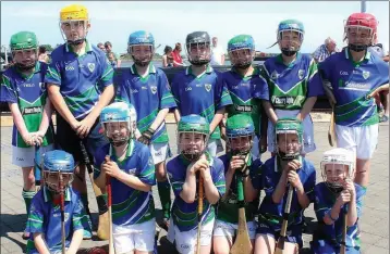  ??  ?? Glynn-Barntown, one of 14 Under-10 hurling clubs to take part in the hurling on the quay promotiona­l event in Wexford town on Saturday.