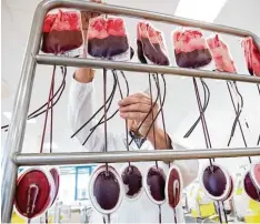  ?? Foto: Charisius, dpa ?? Allein in Bayern werden jeden Tag rund 2000 Blutkonser­ven für die Versorgung von Krebspatie­nten, Unfallopfe­rn oder für Operatione­n benötigt.