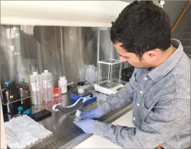  ?? Special to The Daily Courier ?? Chief scientist at PRE Labs Mazeyar Parvinzade­h Gashti tests several different soap products on a protective face shield.