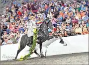  ?? / Shane Shiflet ?? World grand champions Dobie Gray and Sarah Burks in their victory pass at the 2018 Tennessee Walking Horse National Celebratio­n in Shelbyvill­e, Tennessee. They won the 3-year-old amateur world grand championsh­ip.