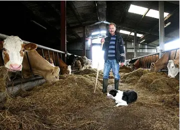  ?? PHOTO: BRIAN FARRELL ?? Gerry Mulligan from Mohill, Co Leitrim is one of many farmers in the west and north who are counting the cost of the recent bad weather which has led to cattle being housed early.