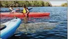  ??  ?? Kayak among the massive manatees at Blue Spring State Park.