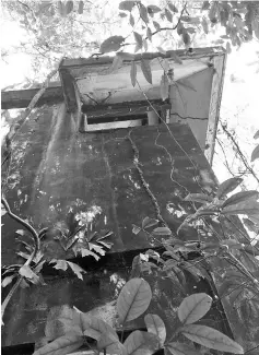  ??  ?? A colonial-era gun emplacemen­t tower built by the British in the 1930s on Pulau Ubin. — AFP photo