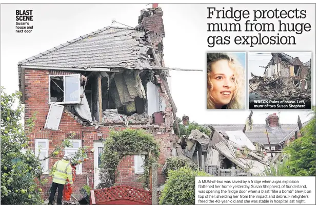  ??  ?? BLAST SCENE Susan’s house and next door WRECK Ruins of house. Left, mum-of-two Susan Shepherd