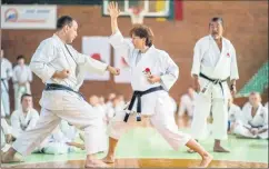  ?? ?? Senseis Latchezar Nenov and Milena Galabova in action under the watchful eye of the late Kato Sensei.